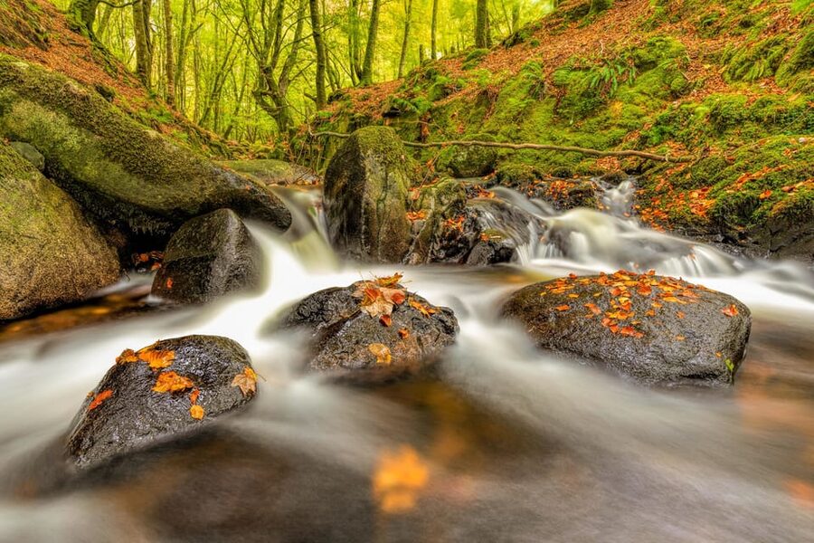 From Dublin: Wild Wicklow Mountains and Glendalough Tour - Glendalough’s sixth-century monastic valley
