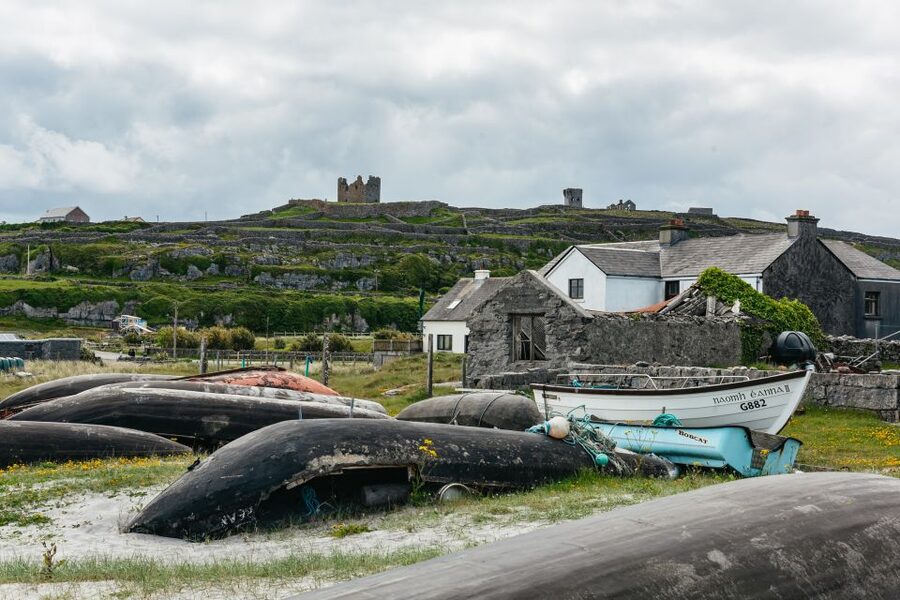 From Galway: Aran Islands & Cliffs of Moher Full-Day Trip - The guides and the bus ride