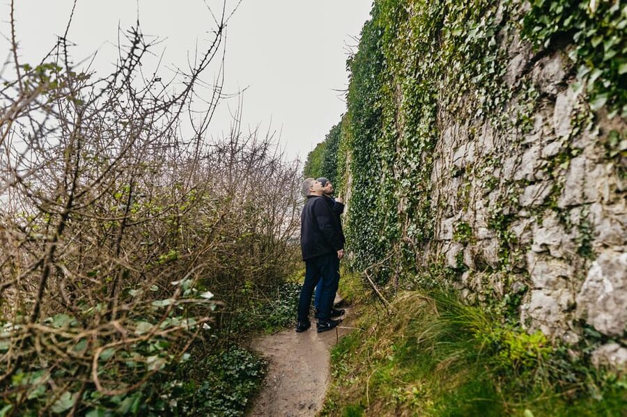 From Galway: Cliffs of Moher and The Burren Guided Day Trip - Who should book this tour?