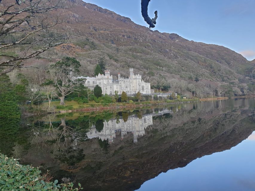 From Galway: Connemara and Kylemore Abbey Day Tour - Who should book this Connemara day trip?