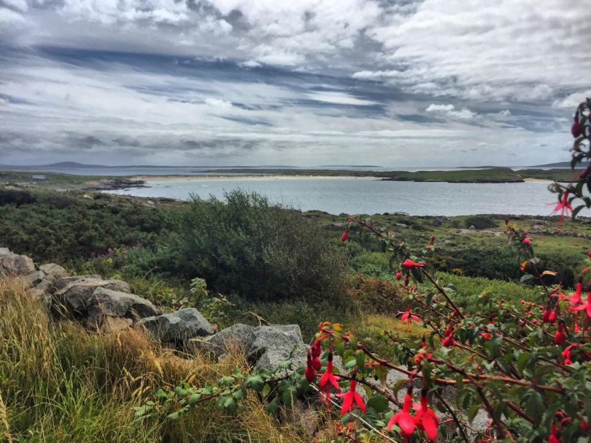 From Galway: Connemara and Kylemore Abbey Day Tour - Leaving Galway for the Atlantic coast