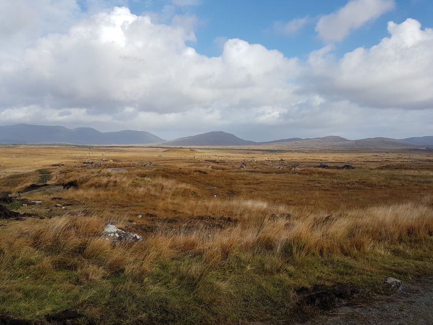 From Galway: Connemara and Kylemore Abbey Day Tour - How good are the guides?