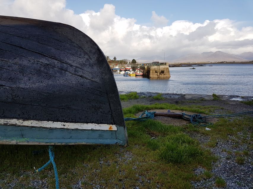 From Galway: Connemara and Kylemore Abbey Day Tour - Is $57 good value?