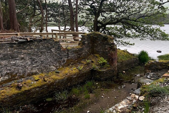 From Galway: Connemara, Kylemore Abbey & Castles 1 Day Tour - Why this Galway day trip works
