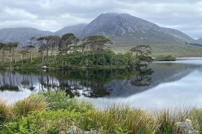 From Galway: Connemara, Kylemore Abbey & Castles 1 Day Tour - Kylemore Abbey, the day’s main attraction