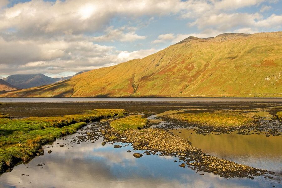 From Galway: Connemara & Kylemore Abbey Full-Day Guided Tour - What the guides add to the day