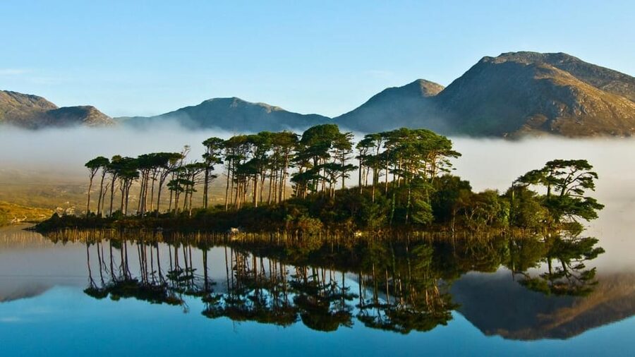 From Galway: Connemara, Kylemore Abbey or National Park Tour - Key details before you book