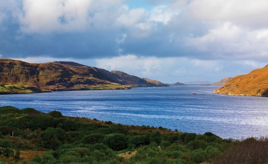 From Galway: Connemara National Park Full Day Tour - Leenane and Killary Fjord