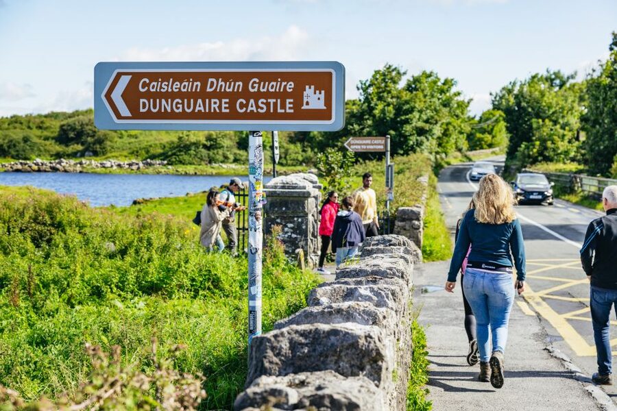 From Galway: Full-Day Cliffs of Moher & Burren Guided Tour - The Burren is more than a stop on the road