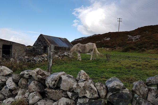 From Galway: Guided tour of Connemara with 3 hour stop at Connemara National Pk. - Clifden, the region’s practical center