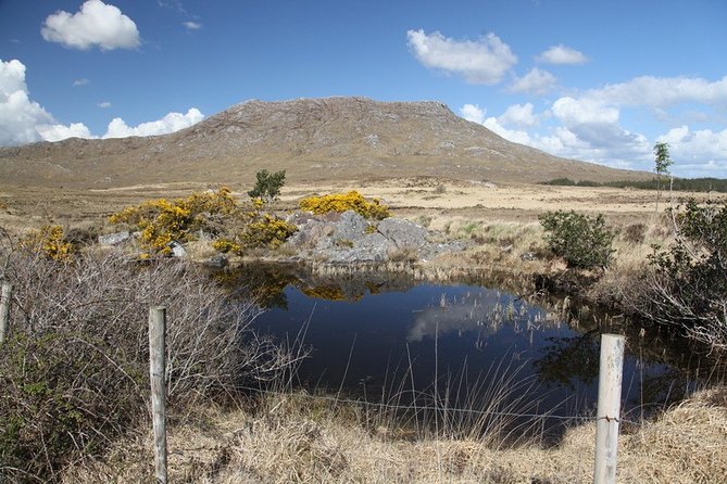 From Galway: Guided tour of Connemara with 3 hour stop in Kylemore Abbey - Leaving Galway for the Atlantic coast