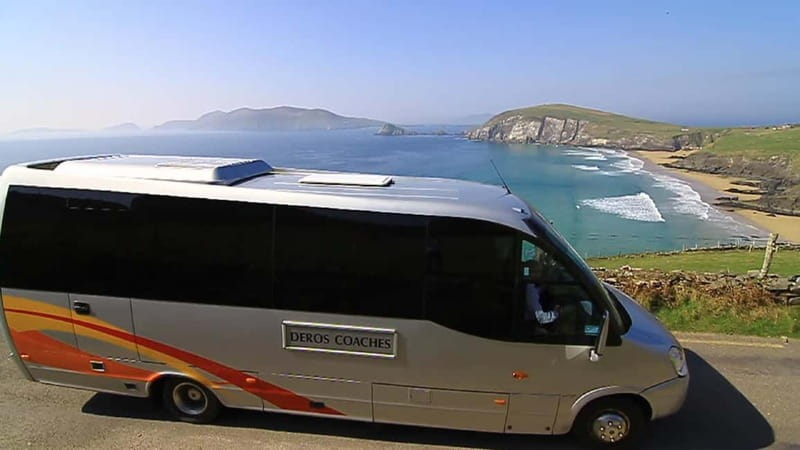 From Killarney: Dingle and Slea Head Peninsula Day Tour - Dingle Town: lunch, boats, and a little freedom