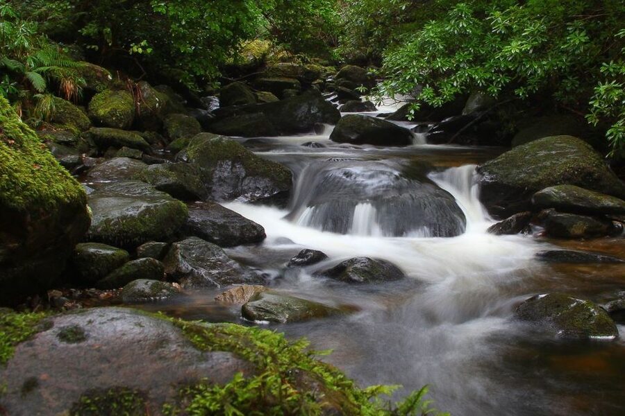 From Killarney: Ring of Kerry Full-Day Tour - Why the Ring of Kerry works so well from Killarney