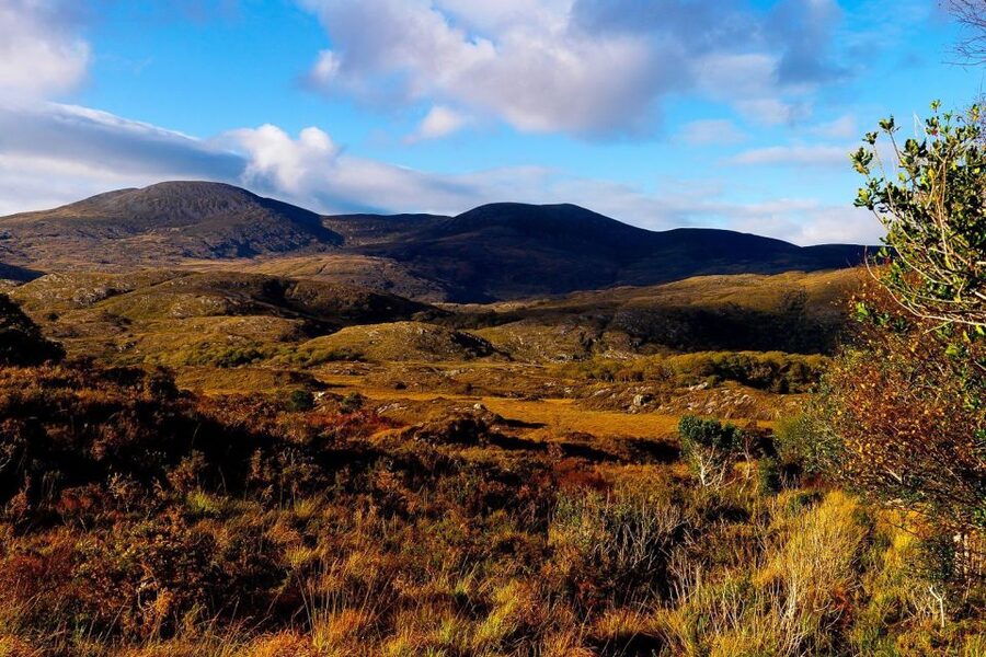 From Killarney: Ring of Kerry Full-Day Tour - Entering Killarney National Park
