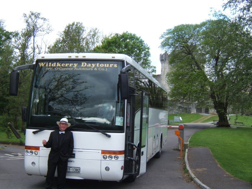 From Killarney: 'Ring of Kerry' Mountain Road 1-Day Bus Tour - Dingle Bay and the coast