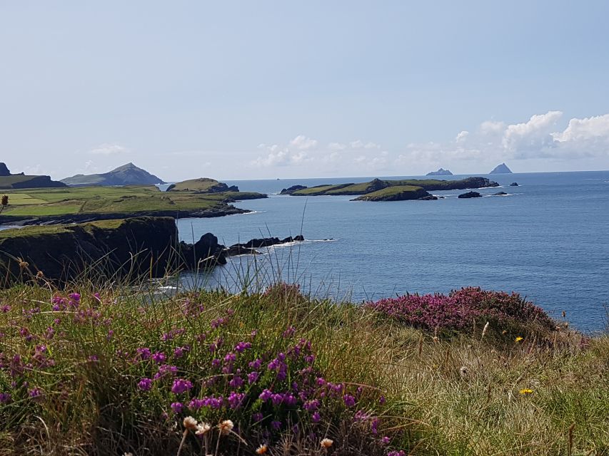 From Killarney: 'Ring of Kerry' Mountain Road 1-Day Bus Tour - Bog Village, sheep dogs, and extra stops