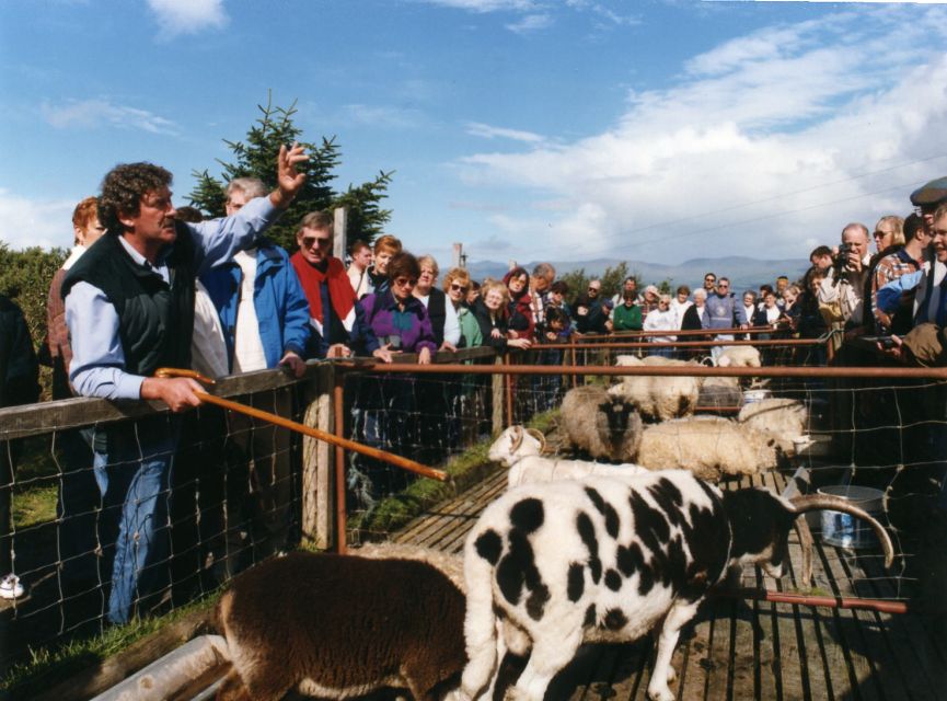 From Killarney: 'Ring of Kerry' Mountain Road 1-Day Bus Tour - What $45 buys you