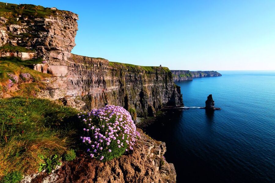 From Limerick: Full-Day Guided Tour of Cliffs of Moher - The guide can shape the whole day