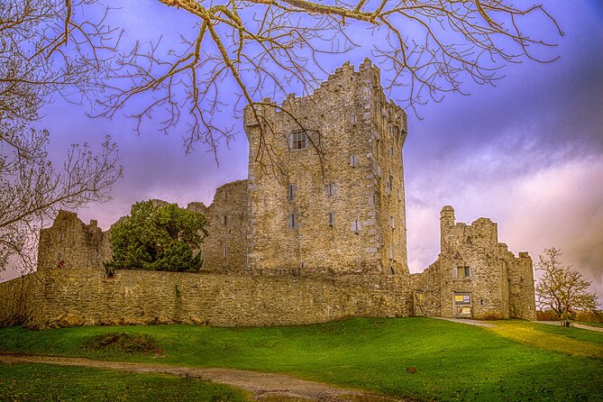 Full-Day Private Historical Tour at Ring of Kerry - Five details that shape the day
