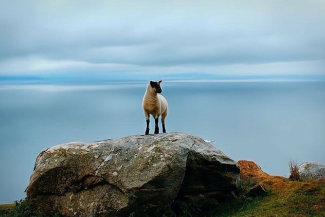 Full Day Private Tour to Ireland - Why This Galway Day Trip Works