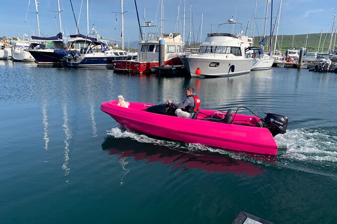 Funky Pink Self Drive Boats - Is $115.64 good value for one boat?