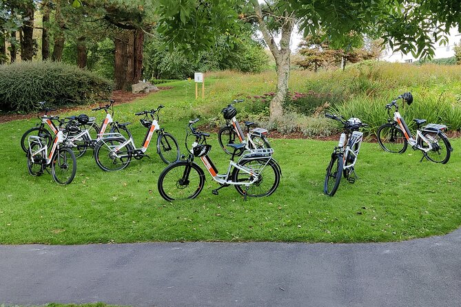 Galway City E-Bike Scavenger Hunt Game - The university and Galway Cathedral