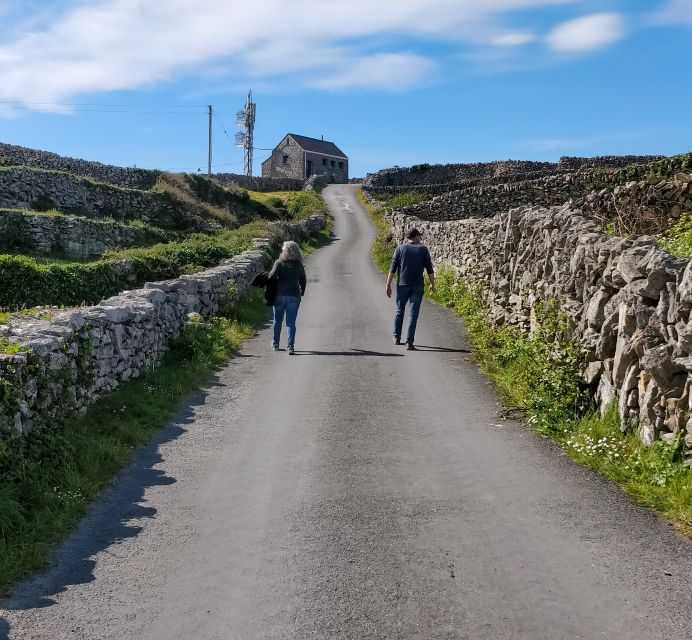 Galway: Cliffs Cruise, Aran Islands & Connemara Day Tour - Who should book this tour?