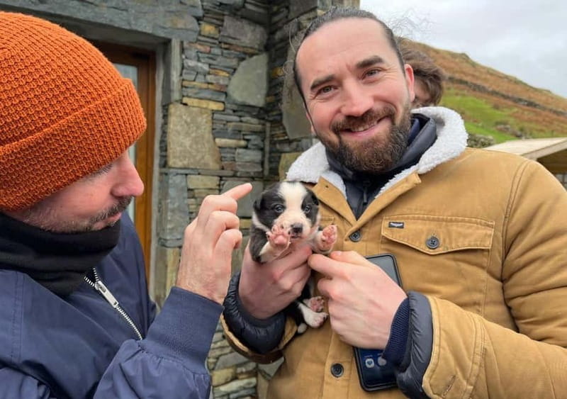 Galway: Connemara, Sheepdog Show and Medieval Castle Tour - From Galway to the wide-open country of Connemara