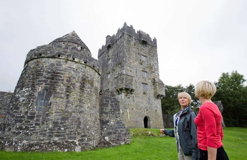 Galway: Connemara, Sheepdog Show and Medieval Castle Tour - Connemara’s mountains, lakes, and long views
