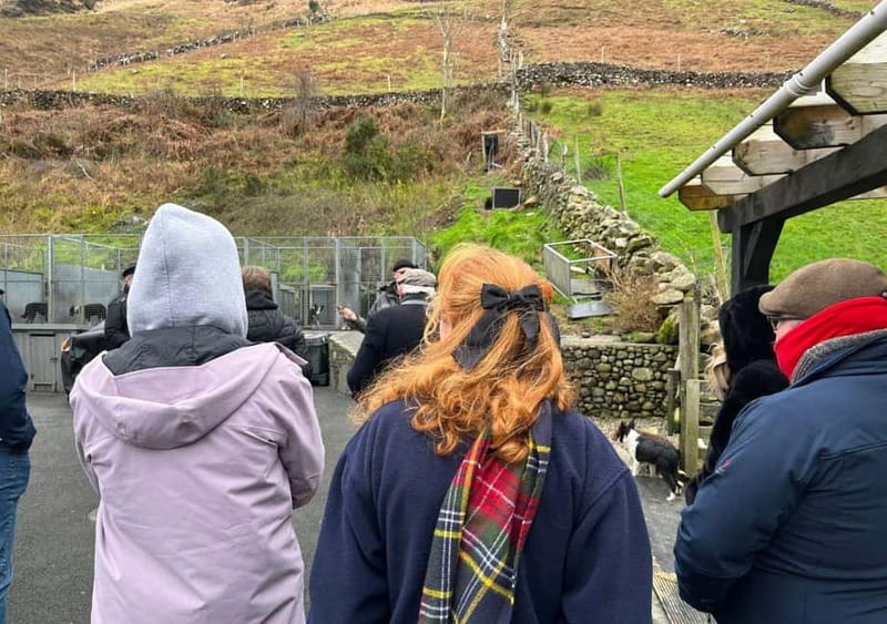 Galway: Connemara, Sheepdog Show and Medieval Castle Tour - What the day is really worth