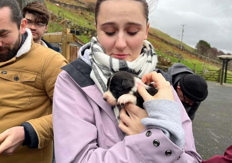 Galway: Connemara, Sheepdog Show and Medieval Castle Tour - Who will enjoy this Galway day trip most
