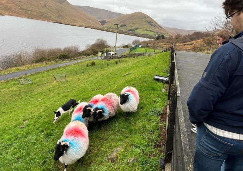 Galway: Connemara, Sheepdog Show and Medieval Castle Tour - Aughnanure Castle and the O’Flahertys