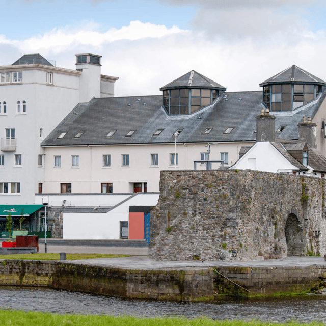 Galway: Medieval Galway Tour - Lynch’s Castle and the power of the 14 Tribes