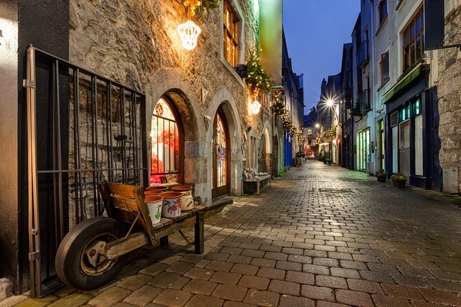Galway Private Culinary Tour with Local Guide - Whisky, wine, chips, and ice cream