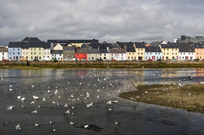 Galway Private Walking Tour - Kirwan’s Lane and the Latin Quarter