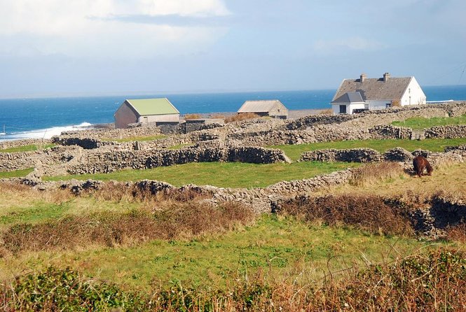 Galway to Aran Islands Inisheer, Doolin, Cliffs of Moher Day Tour - The road from Galway to Doolin