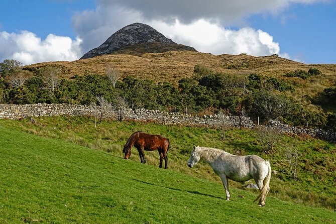 Galway to Connemara National Park Day Tour - Two hours at Connemara National Park