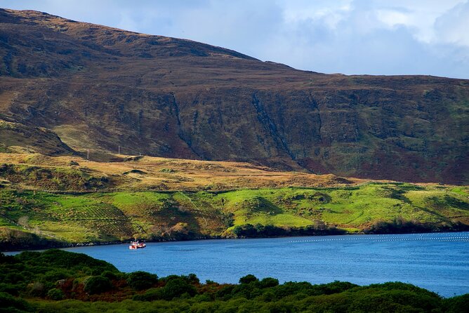 Galway to Connemara National Park Day Tour - What the guides add to the experience