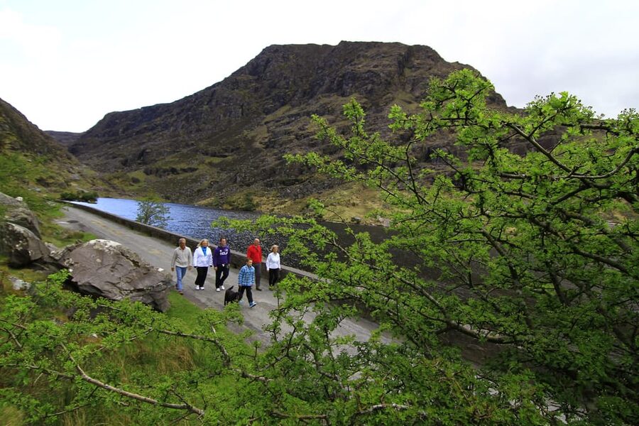 Gap of Dunloe & Lakes of Killlarney Boat Tour - Key points to know before you go