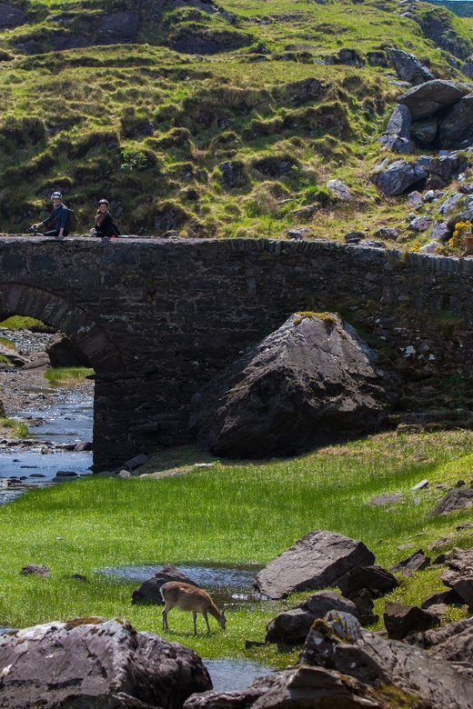 Gap of Dunloe & Lakes of Killlarney Boat Tour - Lord Brandon’s Cottage and the pause before the boat