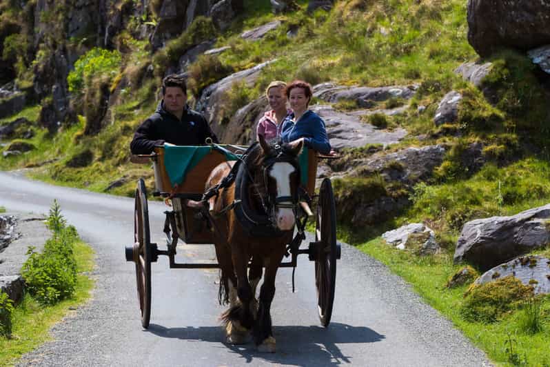 Gap of Dunloe & Lakes of Killlarney Boat Tour - Arriving at Ross Castle