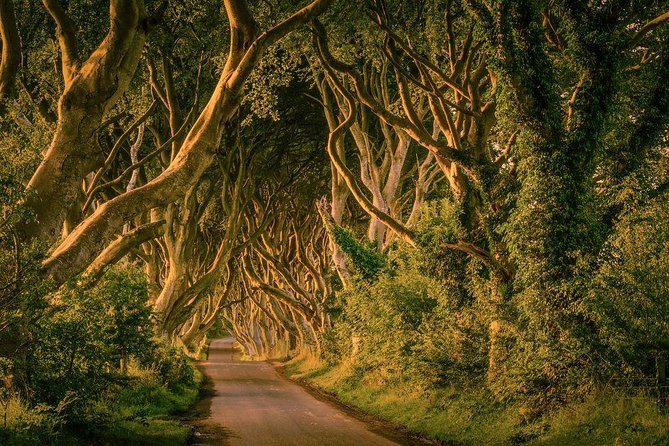 Giant Causeway, Dark Hedges & Whiskey Distillery tour from Dublin - What this Dublin day trip really covers