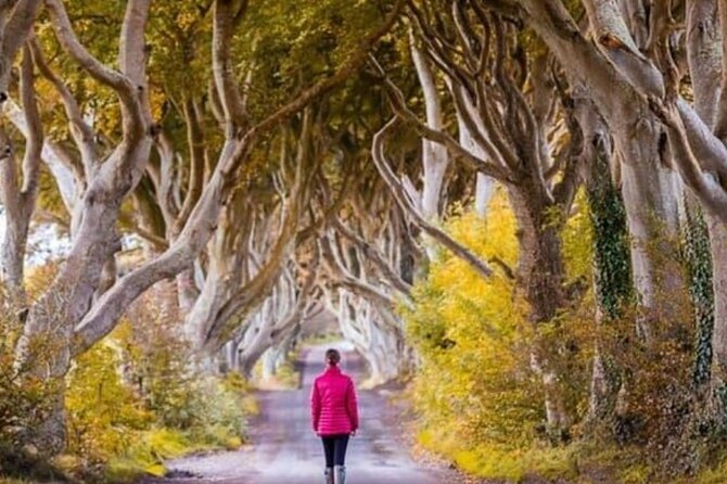 Giants Causeway and Belfast 2 Days with Private Chauffeur Tour - Price, timing, and what you really receive