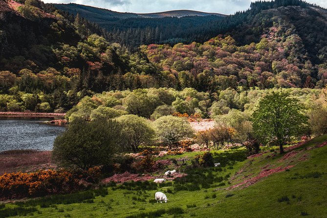 Glendalough Day Tour from Dublin: Including Kilkenny City - Who should book this day trip?