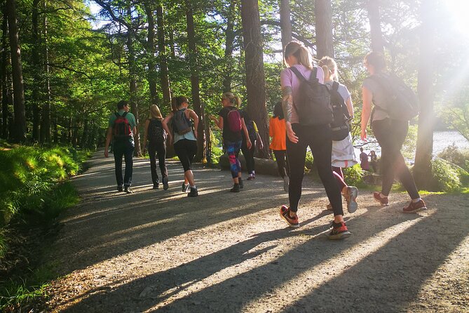 Glendalough Night Hike and History Tour - Is the $44.12 price good value?