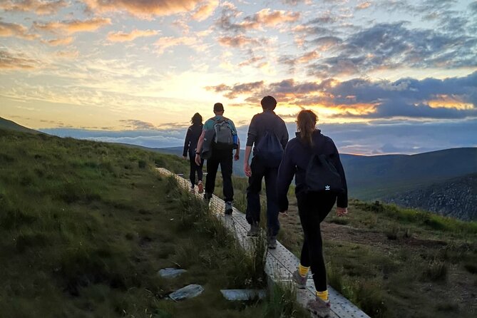 Glendalough Night Hike and History Tour - Watching for Sika deer at dusk