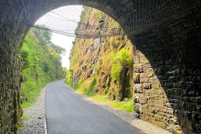Guided Bike Ride: Exploring the Limerick Greenway - Why this ride works well for a short Limerick outing