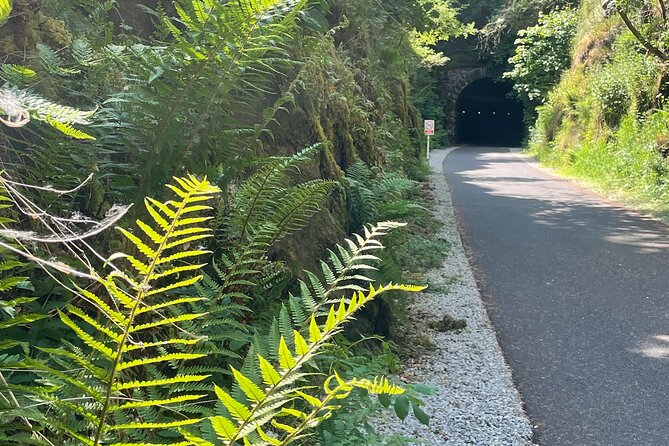 Guided Bike Ride: Exploring the Limerick Greenway - An hour at Barnagh Greenway Hub