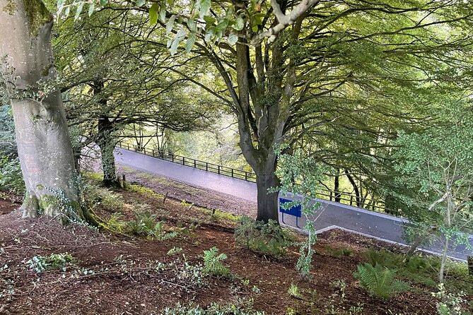 Guided Bike Ride: Exploring the Limerick Greenway - What the $46.34 price includes in practical terms
