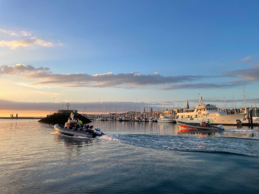 Guided Boat Tour around Dublin Bay - Dalkey Island’s church ruins and Martello tower